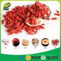 Bulk-Goji-Beeren Großhandel Goji-Beere